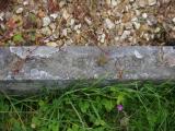 image of grave number 919867